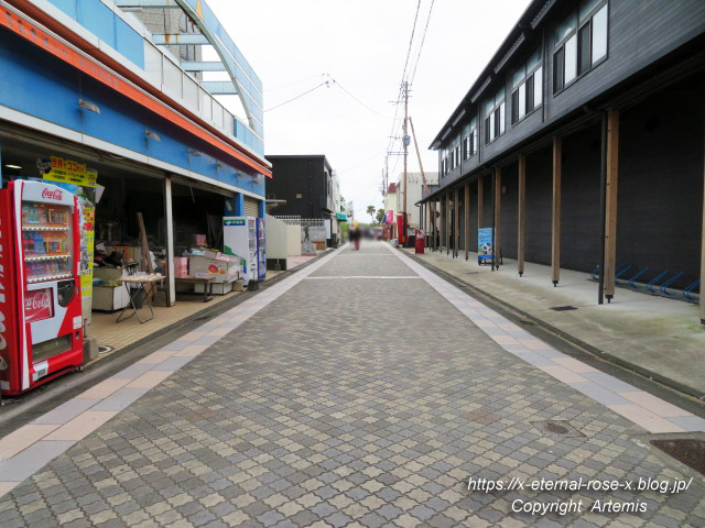 20.11.1.1 青島  (10)