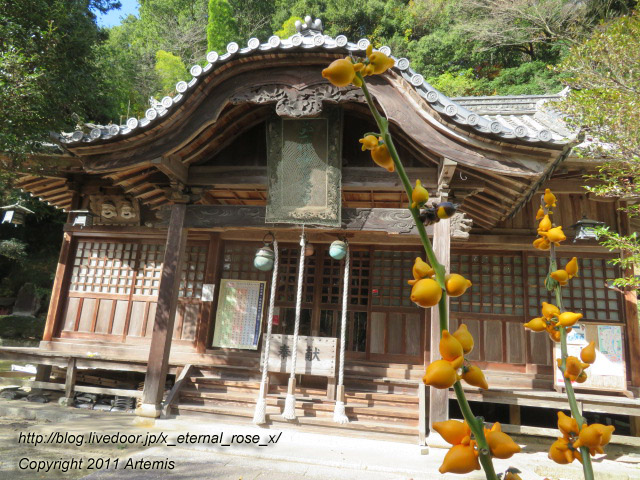 20.11.21.3 備中高梁稲荷神社  (17)