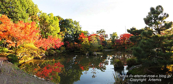 19.11.23.9 法金剛院  (42)