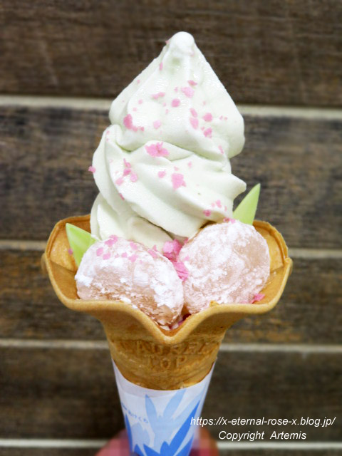 21.8.10.5 モモタロウマルシェ  (17)