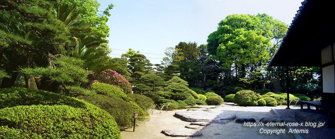 11.5.5.3 旧野﨑家住宅 野﨑家塩業歴史館  (60)