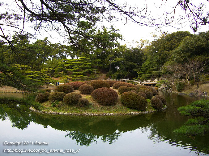 11.2.20 栗林公園 (37)