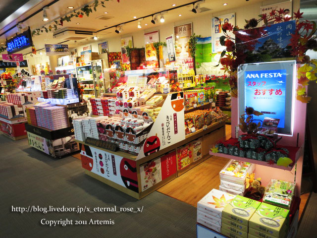 18.11.21.3 岡山桃太郎空港  (3)