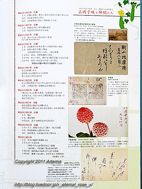 20.1.1.1県立博物館 (4)