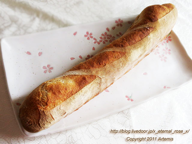 20.12.3 オぷスト (39)