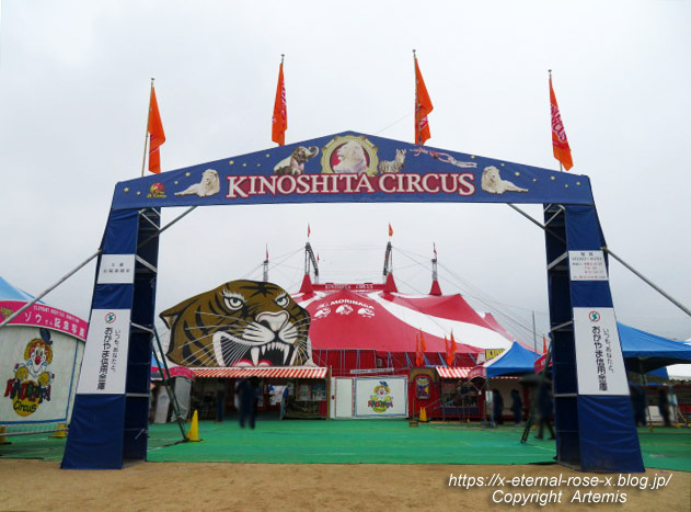 22.7.8 木下サーカス  (5)