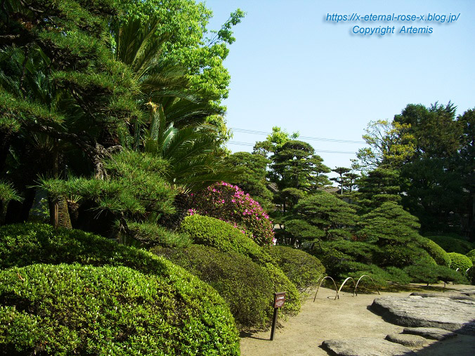 11.5.5.3 旧野﨑家住宅 野﨑家塩業歴史館 (7)
