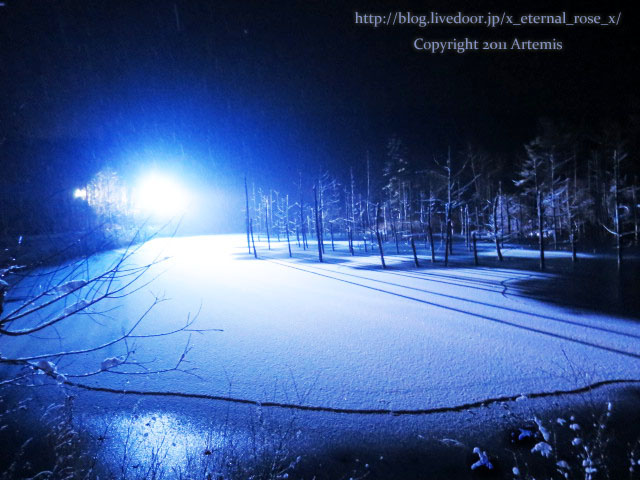 18.11.21.9 青い池  (13)