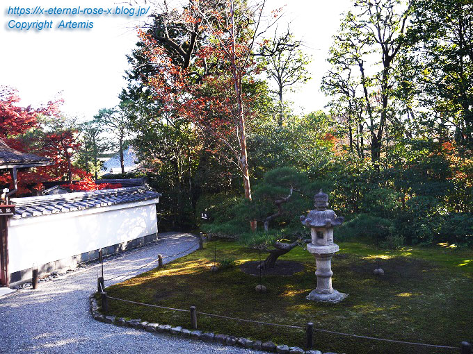 19.11.23.7 妙心寺 退蔵院  (113)