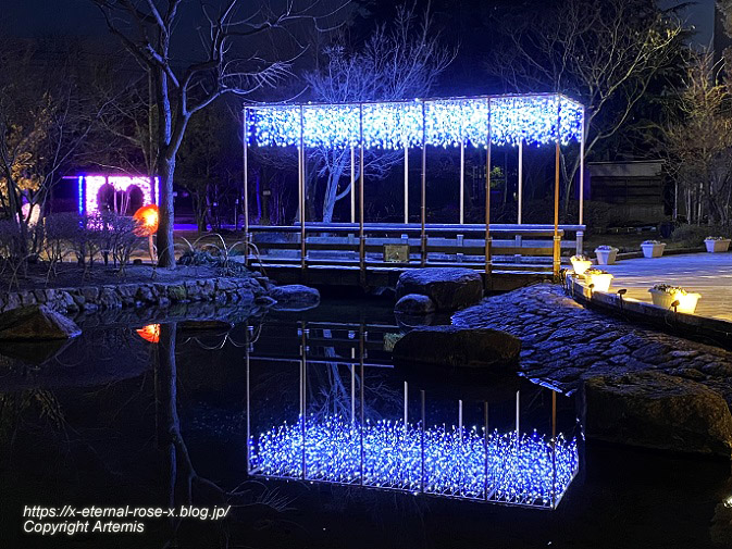 23.2.12.6 西大寺緑花公園.  (34)