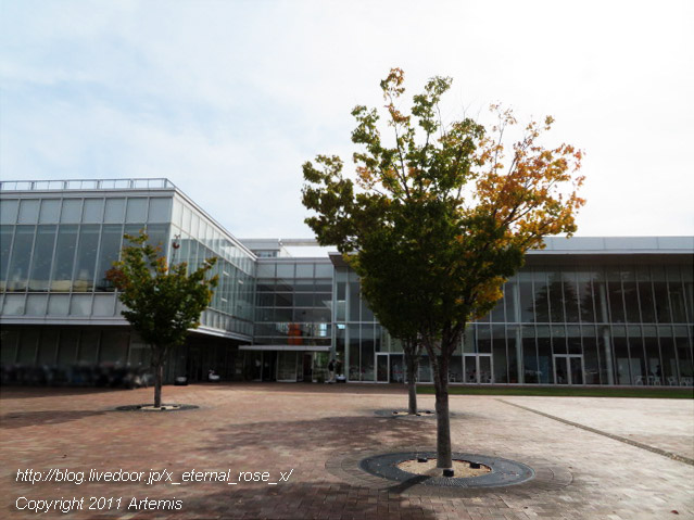 19.10.20 こけしマルシェ  (1)