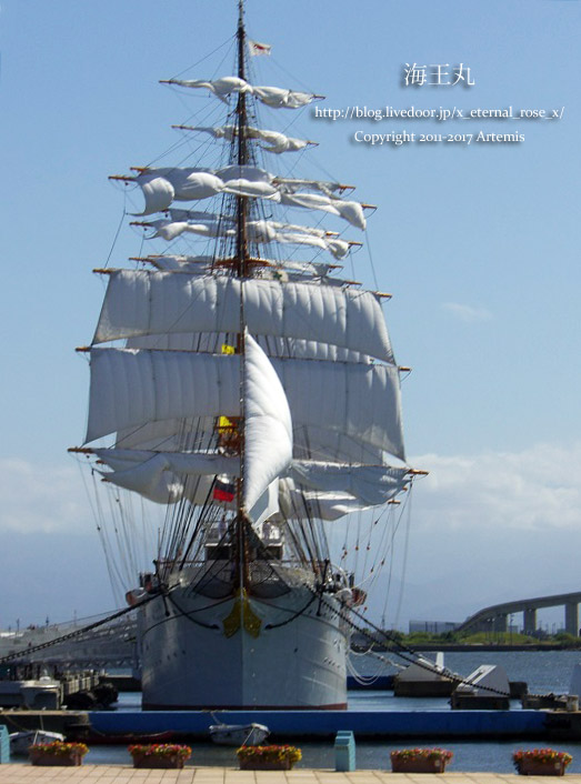 3 海王丸パーク  (1)