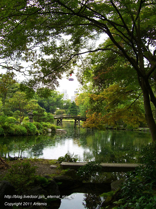 10.10.21 渉成園  (46)