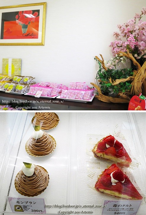 18.4.8 白十字円山 (21)