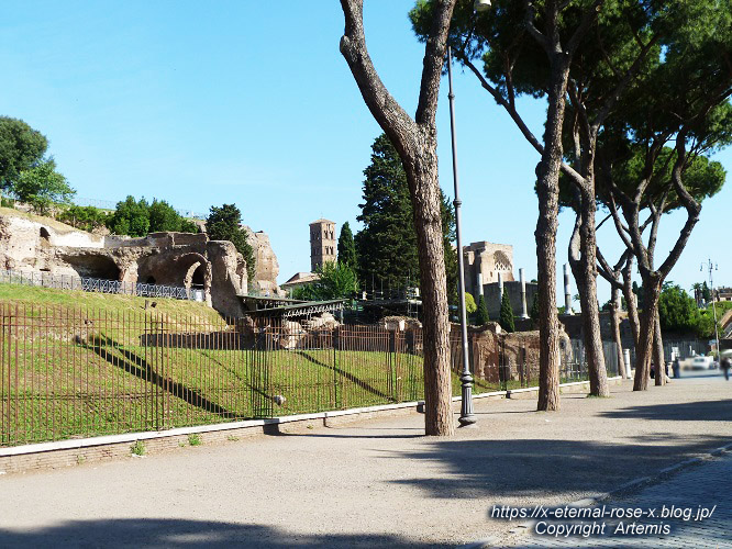 11.5.30.4 コロッセオ  (17)