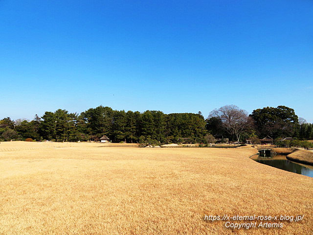 23.1.1 岡山後楽園  (112)