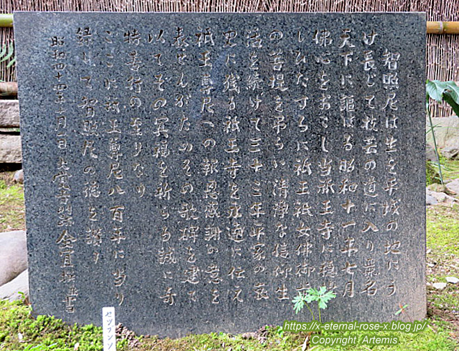 20.3.19.9 祇王寺  (29)