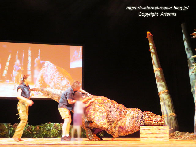 19.8.18.1 恐竜動物園 (87)