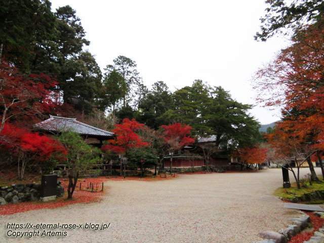 19.11.27 高雄 神護寺 (66)