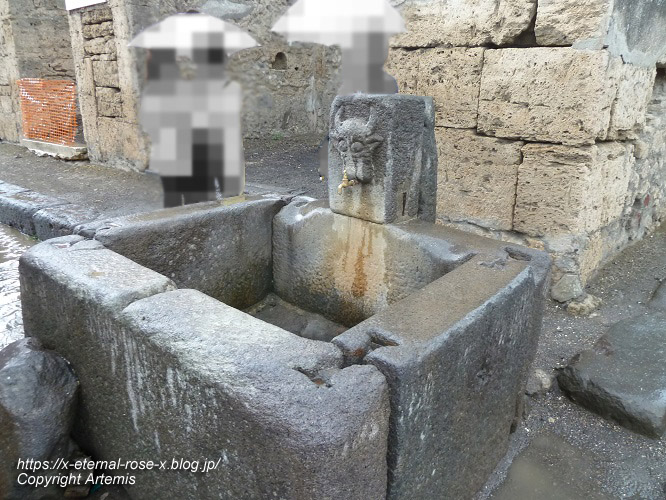 11.6.1.8 ポンペイ遺跡 水道　 (129)