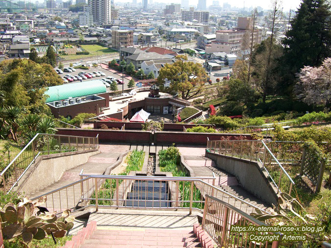 11.4.14.1 半田山植物園  (137)