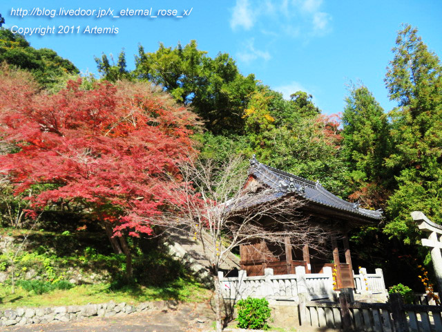 20.11.21.3 備中高梁稲荷神社  (5)