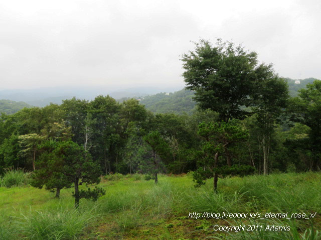 19.7.13 プチフレーズ (23)