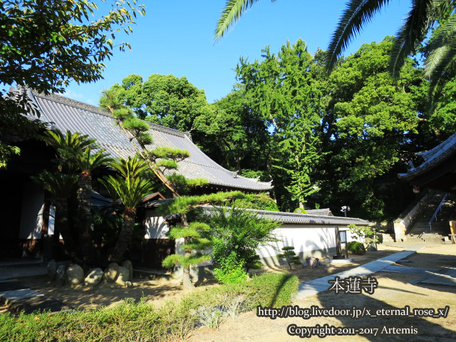 10 本蓮寺 (15)