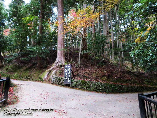 19.11.27 高雄 神護寺  (132)
