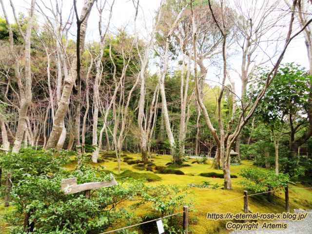 20.3.19.9 祇王寺  (12)