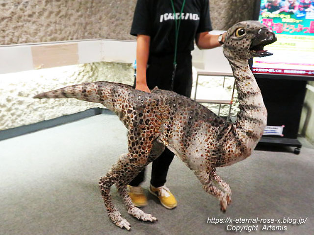 19.8.18.1 恐竜動物園 (145)
