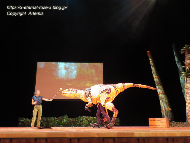 19.8.18.1 恐竜動物園 (50)