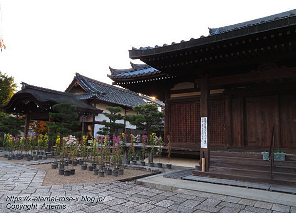 19.11.23.9 法金剛院 (61)