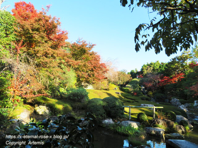 19.11.23.7 妙心寺 退蔵院  (61)