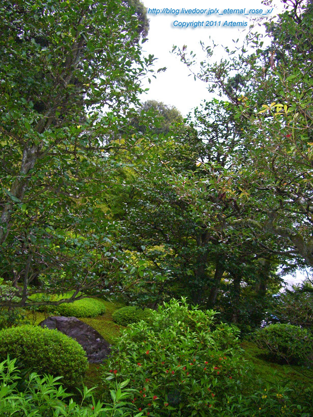 10.10.24.4 鈴虫寺 (16)