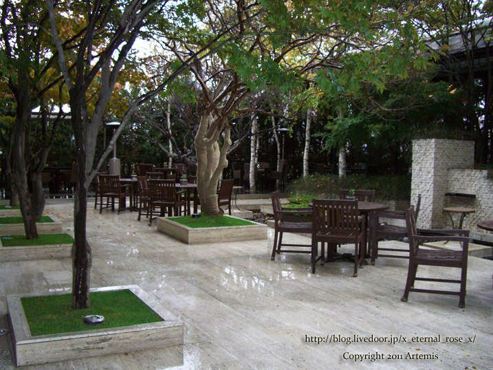 9.11.13 リッツ朝  (1)