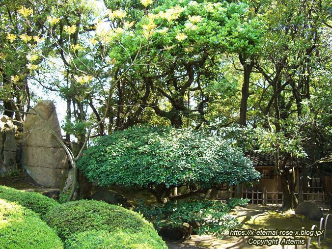 11.5.5.3 旧野﨑家住宅 野﨑家塩業歴史館 (23)