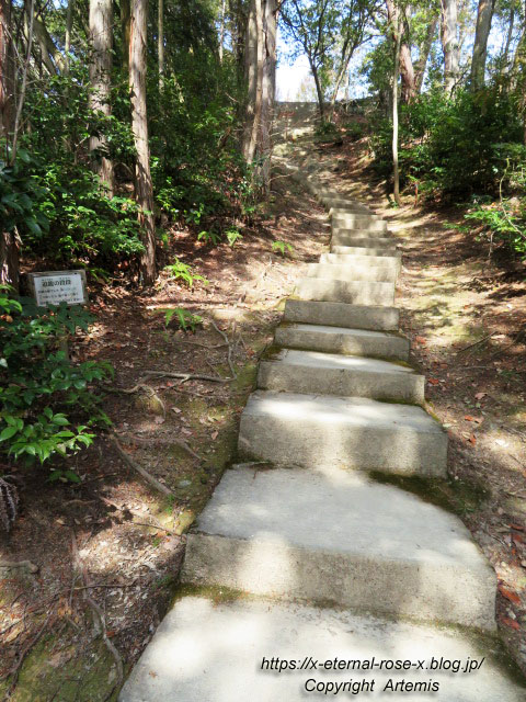 22.3.5.2 石上布都魂神社 (67)