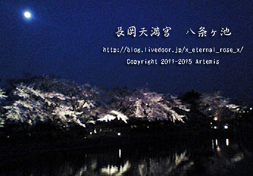 1 長岡天満宮 (6)