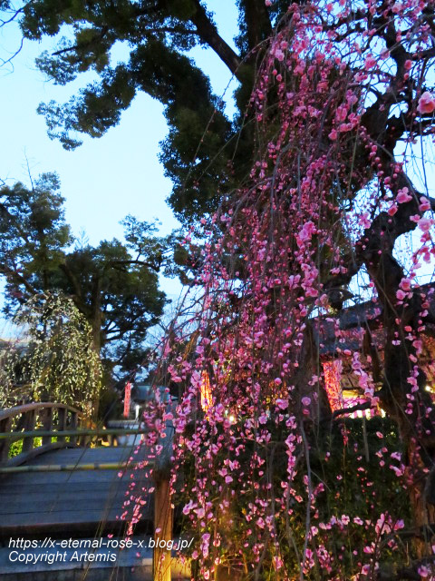 23.3. 北野天満宮 (23)