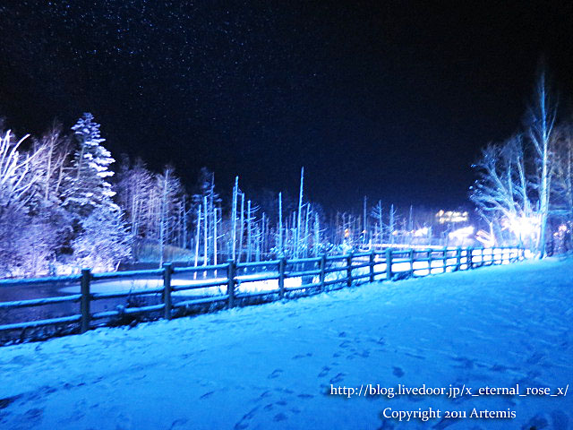 18.11.21.9 青い池  (47)