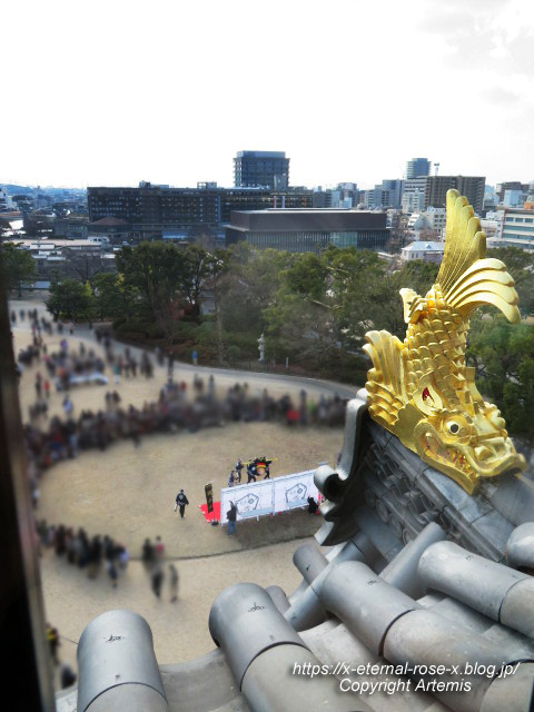 23.1.1.3 岡山城  (35)