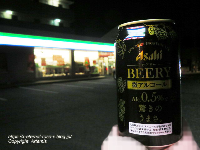 22.12.23.1 ファミリーマート 岡山西大寺上二丁目店 (6)