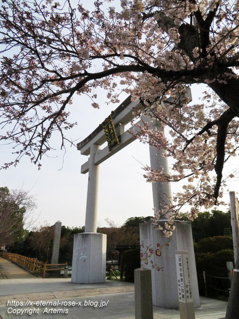 22.3.30.6 長岡天満宮 (26)