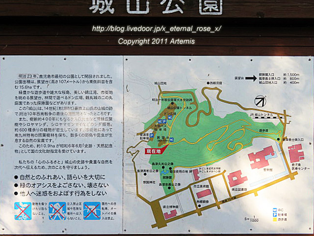 20.10.31.8 城山公園展望台  (20)