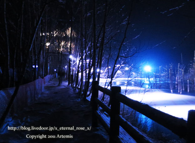 18.11.21.9 青い池  (9)