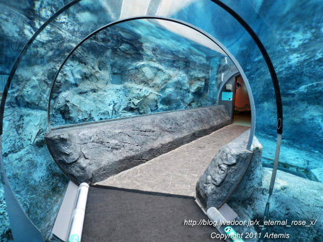 18.11.22.18 旭山動物園  (5)