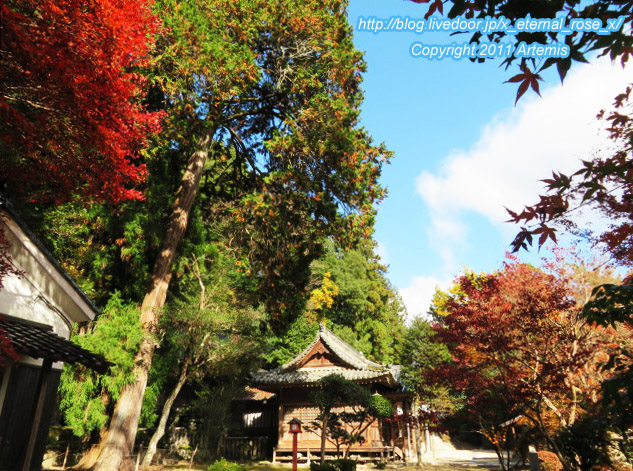 20.11.21.3 備中高梁稲荷神社  (21)
