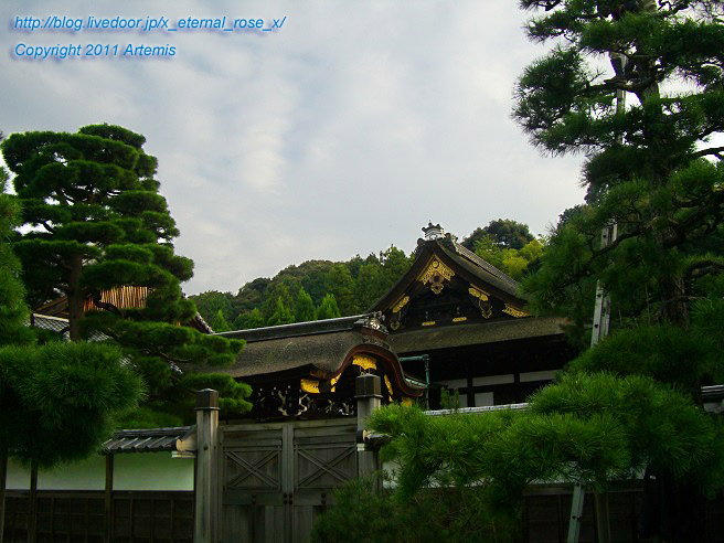 10.10.21.3 泉涌寺  (14)