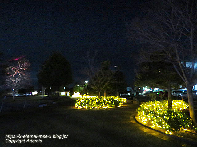 23.2.12.5 西大寺緑花公園 (108)